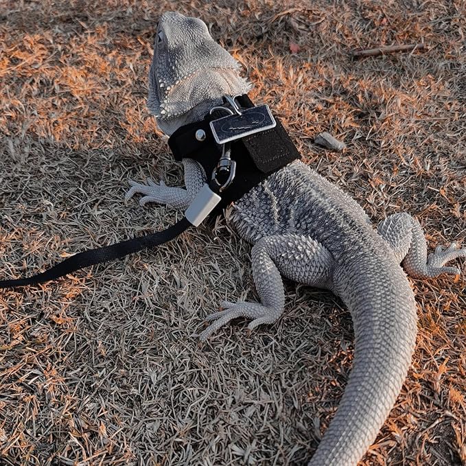 3 Pack Bearded Dragon Harness and Leash Set - Adjustable Soft Leather Lizard Harness with Retractable Leash Small Animal Traction Rope Walking Vest Accessories for Reptile Squirrel Rat (Black) SEZDEKI