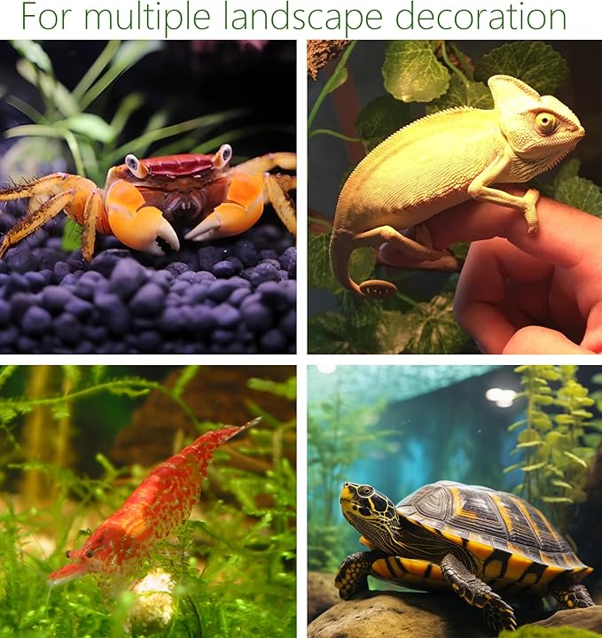 Aquarium Hideaway Rocks for Small Fishes, Shrimps to Breed, Play and Rest, Safe and Non-toxic Ceramic Fish Tank Ornaments, Hideout Stone for Betta SpringSmart--Focusonprovidinghighqualityaquariumdecorations