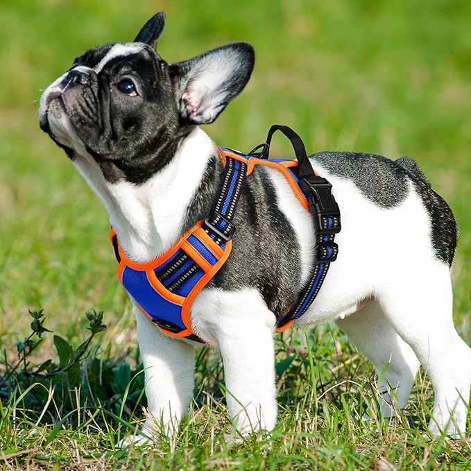 Eagloo Dog Harness for Large Dogs, No Pull Service Vest with Reflective Strips and Control Handle, Adjustable and Comfortable for Easy Walking, No Choke Harness with 2 Metal Rings, Blue & Orange, S GoExplorewithEagloo