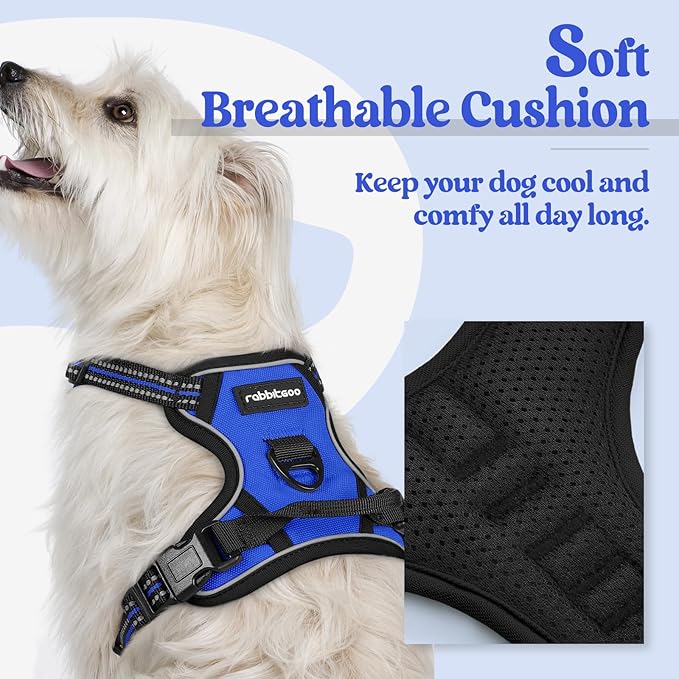 rabbitgoo Dog Harness No Pull with 2 Leash Clips, Adjustable Soft Padded, Reflective Oxford No Choke Pet Vest with Easy Control Handle for Puppy, Dazzling Blue,XS rabbitgoo