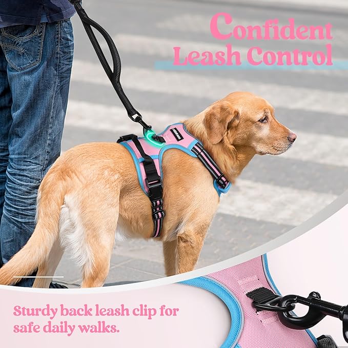 rabbitgoo Dog Harness No Pull with 2 Leash Clips, Adjustable Soft Padded, Reflective Oxford No Choke Pet Vest with Easy Control Handle for Small Dogs, Pink & Blue, S rabbitgoo
