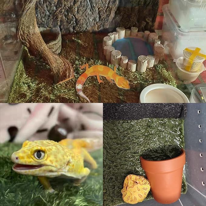 kathson 2Pcs Reptile Carpet Mat,35.4 x 17.7 in Terrarium Bedding Substrate Liner,Tortoise Imitation Rainforest Crawler Mats for Snakes Bearded Dragon Gecko Chameleon Turtles Iguana kathson