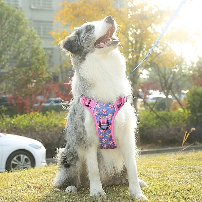 Timos No Pull Dog Harness,NO Need Go Over Dogs Head 3 Snap Buckles Reflective Oxford No Choke Harness with Front&Back 2 Metal Leash Clips Soft Padded for Small Medium Large Dogs,X-Large (Pack of 1) Timos