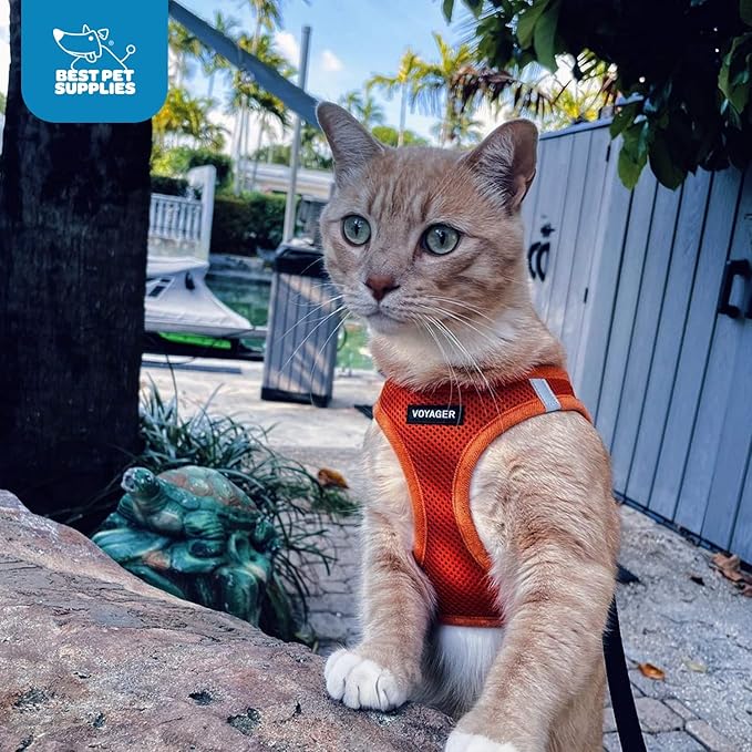 Voyager Step-in Air Dog Harness - All Weather Mesh, Reflective, No Pull Harness for Small, Medium Dogs, Cats - Secure with Hook & Loop Fastener, Buckle, Double D-Rings - Orange, M BestPetSuppliesLLC