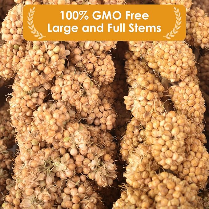 KATUMO Bird Millet Treats, 1.1LB / 500g Natural Healthy Parrot Millet Spray Cockatiel Treats for Parakeet Budgie Finch Conure Pigeon Lovebird Hamster KATUMO