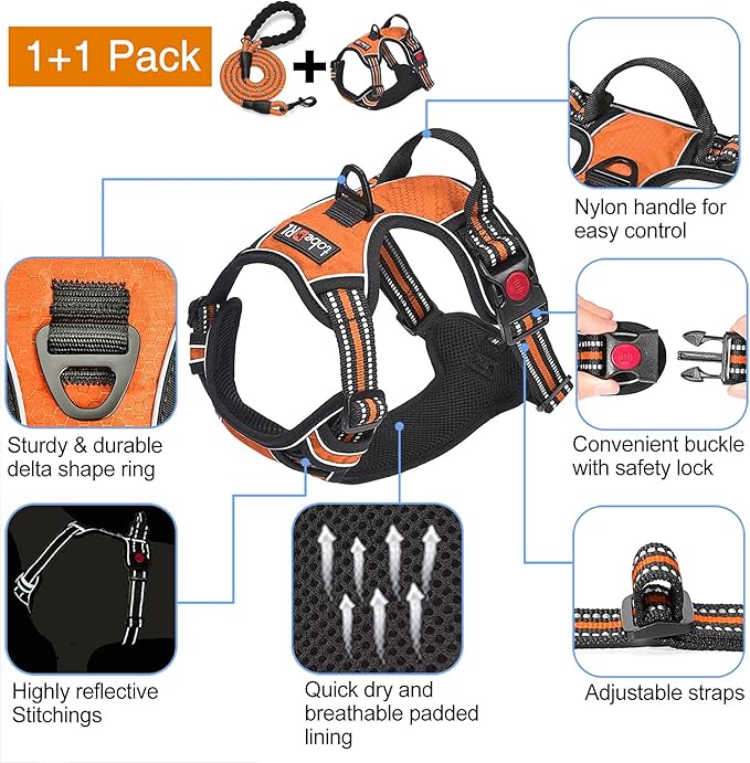 tobeDRI No Pull Dog Harness Adjustable Reflective Oxford Easy Control Medium Large Dog Harness with A Free Heavy Duty 5ft Dog Leash (XL (Chest: 31"-39"), Orange Harness+Leash) - PAWPICO