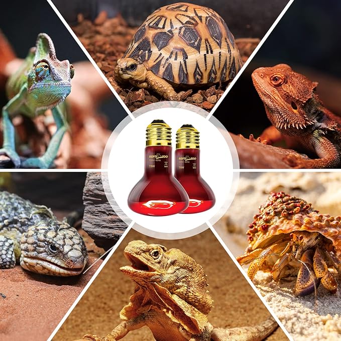 REPTIZOO 75W Reptile Heat Lamp Bulb 2PCS Infrared Heat Emitter Red Heat Lamp for Reptile Amphibian, Infrared Basking Spot Light Bulb REPTIZOO