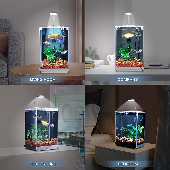 3 Gallon Small Aquarium Betta Fish Tank AIO Starter Kit, Self Cleaning Hidden Filtration Bottom Filter HD Float Glass with Light Substrate Plants Cleaning Tool Set, Leak-Proof for Gift Present WONDERFACTORY