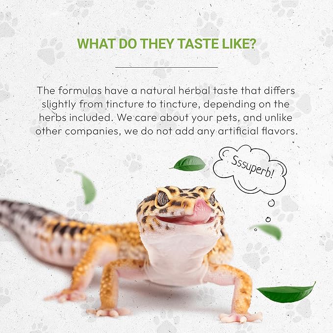 Reptilian Bones | Natural Herbal Dietary Pet Supplement for Reptiles | Support Healthy Bones | Alcohol-Free Extract, Stinging Nettle Leaf, Plantain, Dandelion Leaf, Gotu Kola, Turmeric 2 oz SecretsOfTheTribe