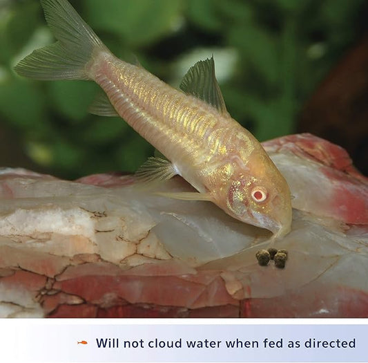 Aqueon Shrimp Pellets Sinking Food for Tropical Fish, Goldfish, Loaches, Catfish and Other Bottom Feeding Fish, 3.25 oz Aqueon