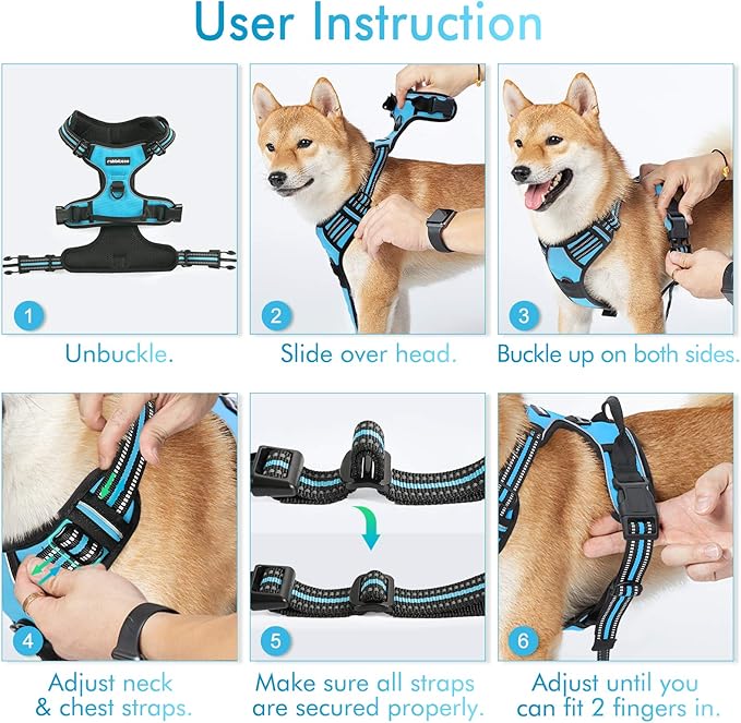 rabbitgoo Dog Harness No Pull with 2 Leash Clips, Adjustable Soft Padded, Reflective Oxford No Choke Pet Vest with Easy Control Handle for Large Dogs, Blue, XL rabbitgoo