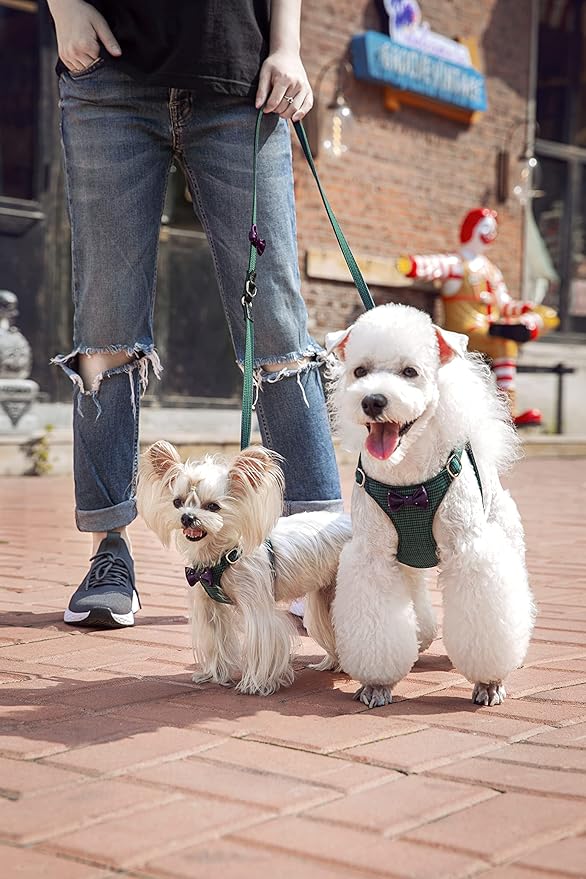 Puppytie No Pull Small Dog Harness with Multifunction Dog Leash,Lightweight Soft Adjustable No Choke Escape Proof Pet Harness Vest Pet Harness Vest,Plaid deep red,S Puppytie