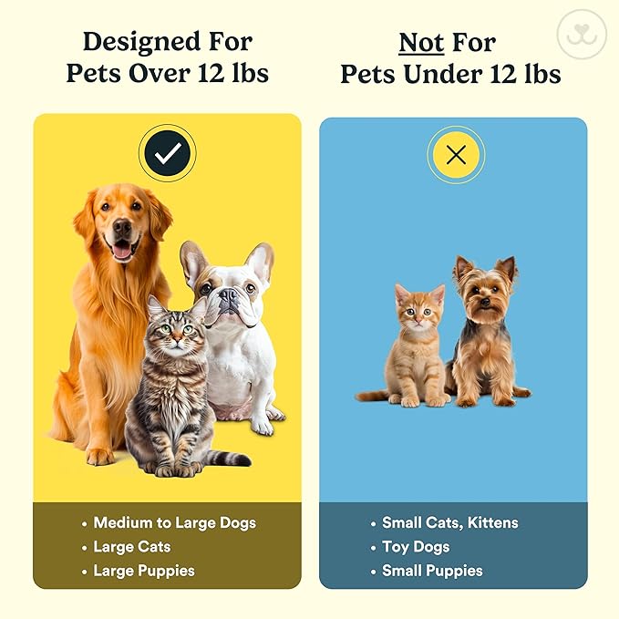Jasper Dog Toothbrush, 360-Degree Silicone Dog Finger Toothbrush with Storage Cases, Dog Tooth Brushing Kit, Dog Teeth Cleaning Kit for Medium and Large Dogs, Use with Dog Toothpaste, 2-Pack Clear JASPER%C2%AE