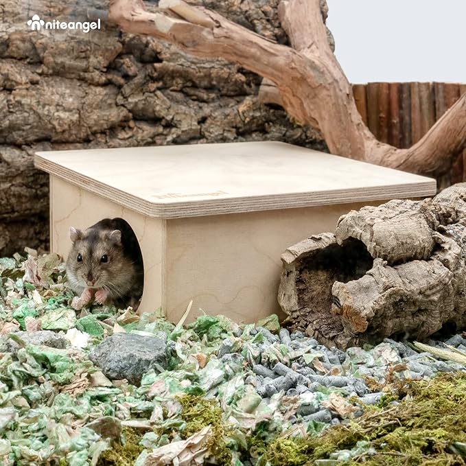 Niteangel Birch Chamber-Maze Hamster Hideout - Small Pets Woodland House Habitats Decor for Hamster Mice Gerbils Mouse Niteangel