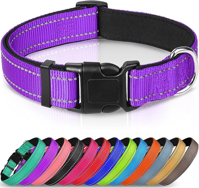 Joytale Reflective Dog Collar,Soft Neoprene Padded Breathable Nylon Pet Collar Adjustable for Puppy and Small Dogs,Purple,XS - PAWPICO