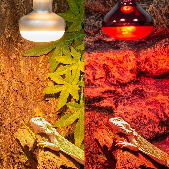REPTI ZOO 2 Pack 100W Reptile Heat Lamp Bulbs,Upgraded Reptile Day and Night Basking Spot Bulb Combo Amphibian Infrared Heat Lamp Bulb/UVA Basking Spot Daylight Heating Light Bulb REPTIZOO