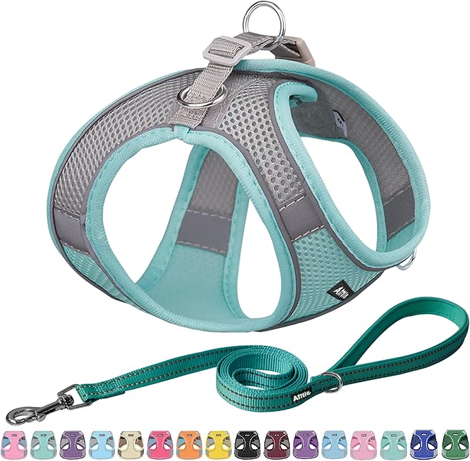 AIITLE Comfortable Dog Harness and Leash Set for Walking - Spring Step in Vest Harness,Reflective Bands, Adjustable No Pull Puppy Essentials, for Small Dogs and House Cats Turquoise XS AIITLE-FORPETSBETTERLIFE