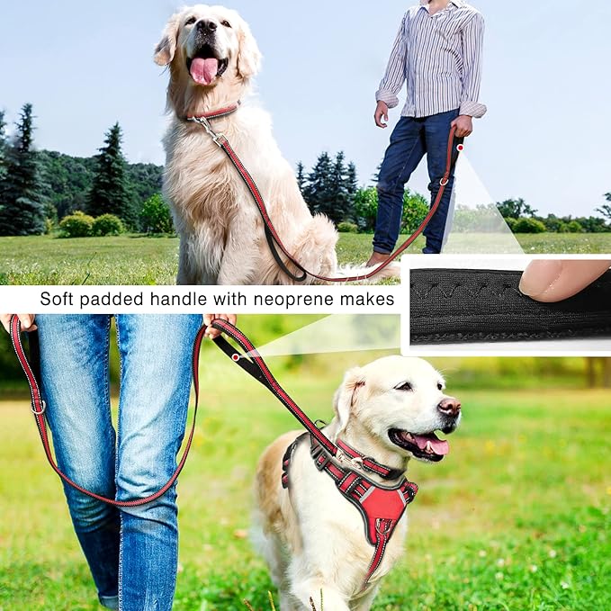 WINSEE Pet Harness Collar and Leash Set, All-in-one Reflective Dog Harness No Pull with Adjustable Buckles for Puppies, Small, Medium, Large, and Extra-Large Dogs (X-Large, Red) WINSEE