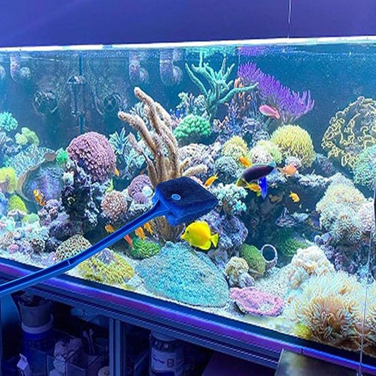 3 PCS Double-Sided Aquarium Fish Tank Algae Cleaning Brush with Non-Slip Handle, Sponge Scrubber Cleaner for Glass Aquariums and Home Kitchen AOODOOM