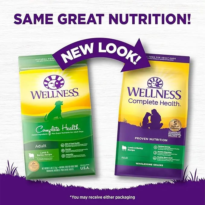 Wellness Complete Health Adult Dry Dog Food, Lamb & Barley Recipe, 26 Pound Bag - PAWPICO