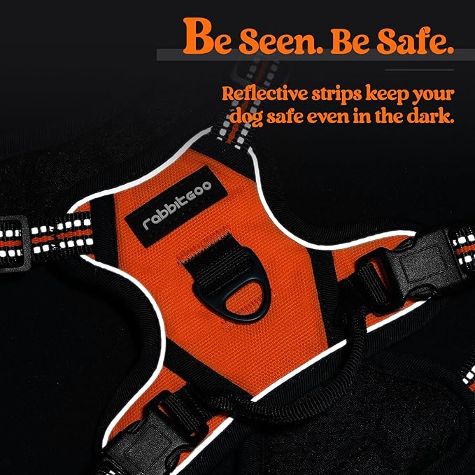 rabbitgoo Dog Harness No Pull with 2 Leash Clips, Adjustable Soft Padded, Reflective Oxford No Choke Pet Vest with Easy Control Handle for Puppy, Orange,XS rabbitgoo