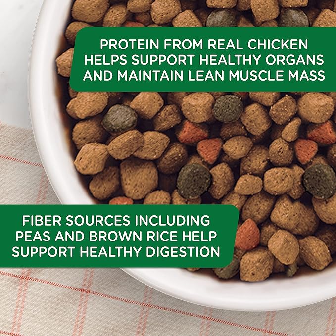 Rachael Ray Nutrish Bright Puppy Premium Natural Dry Dog Food, Real Chicken & Brown Rice Recipe, 6 Pounds (Packaging May Vary) - PAWPICO