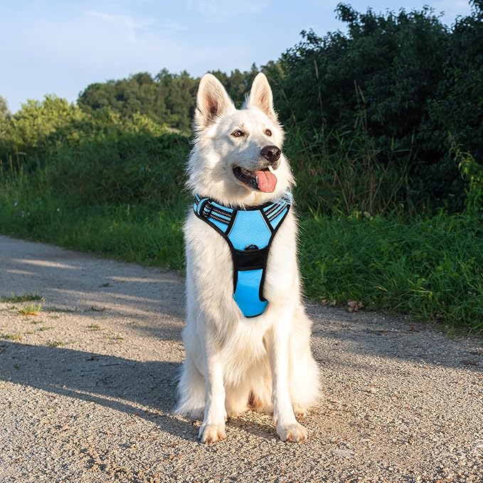 Eagloo Dog Harness Large Breed, No Pull Service Vest with Reflective Strips and Control Handle, Adjustable and Comfortable for Easy Walking, No Choke Pet Harness with 2 Metal Rings, Sky Blue, XL GoExplorewithEagloo