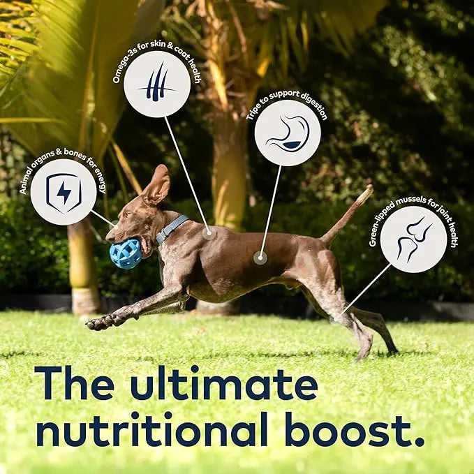 ZIWI Peak Air-Dried Dog Food – Venison - All Natural, High Protein, Grain Free, Limited Ingredient w/ Superfoods (88oz) - PAWPICO