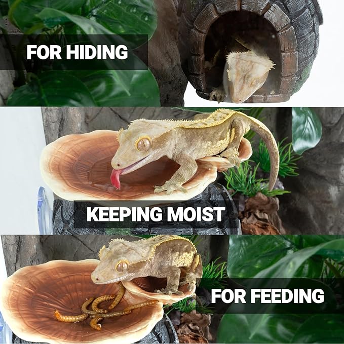 REPTI ZOO Reptile Hide, Multifunctional Reptile Hides with Suction Cup, Resin Reptile Hides, and Caves for Reptiles, Gecko, Lizard (Ganoderma Lucidum Shape) REPTIZOO