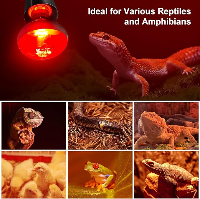 MIXJOY 100W Infrared Heat Lamp Bulbs, 2 Pack Reptile Infrared Heat Emitter Red Heat Lamp Bulbs Infrared Basking Light Bulbs for Reptiles, Bearded Dragon, Lizard, Tortoise, Chickens, Pets MIXJOY