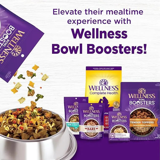 Wellness Complete Health Adult Dry Dog Food, Beef & Barley Recipe, 26 Pound Bag - PAWPICO