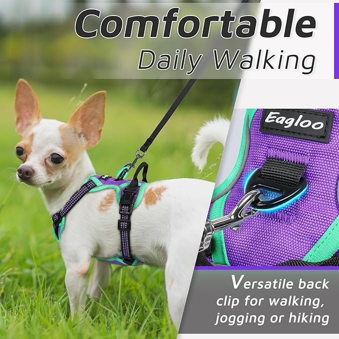 Eagloo Dog Harness for Large Dogs, No Pull Service Vest with Reflective Strips and Control Handle, Adjustable and Comfortable for Easy Walking, No Choke Harness with 2 Metal Rings, Purple & Green, XS GoExplorewithEagloo