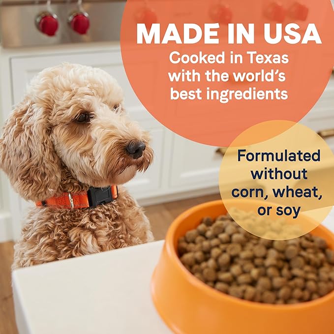 CANIDAE? All Life Stages Chicken Meal & Rice Formula Dog Dry 40 lb - PAWPICO