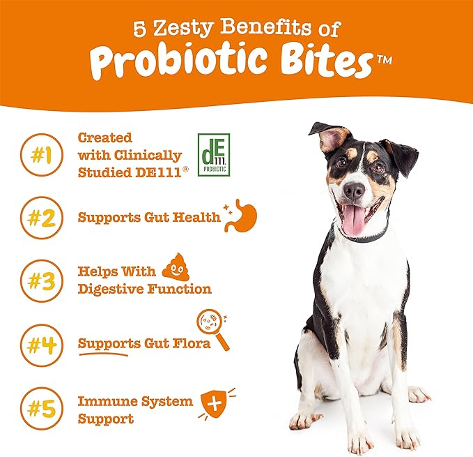 Zesty Paws Probiotics for Dogs - Digestive Enzymes for Gut Flora, Digestive Health, Diarrhea & Bowel Support - Clinically Studied DE111 - Dog Supplement Soft Chew for Pet Immune System - 250 Count ZestyPaws