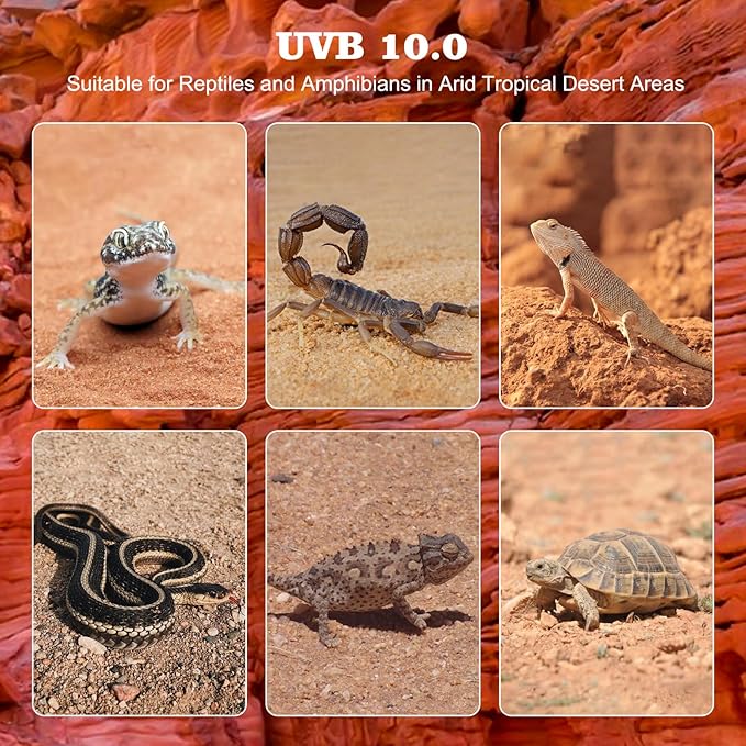 10.0 T5 UVB Reptile Light 2 Pack 24W Reptile UVB Bulb,UVA UVB Reptile Light Bulb,UVB Light for Reptiles for Bearded Dragon,Chameleon,Tortoises, Lizards and Turtles DXOPHIEX