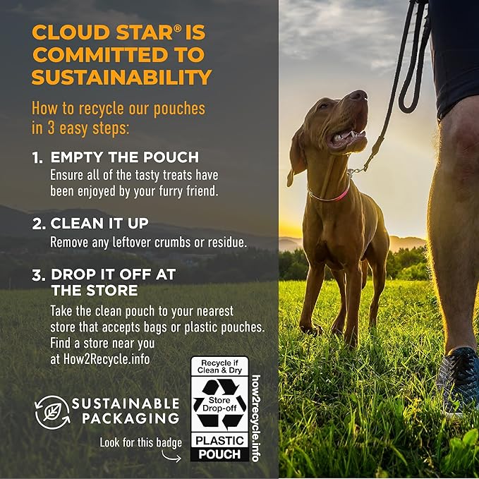Cloud Star Tricky Trainers Soft & Chewy Dog Training Treats 5 oz Pouch, Cheddar Flavor, Low Calorie Behavior Aid with 130 treats - PAWPICO