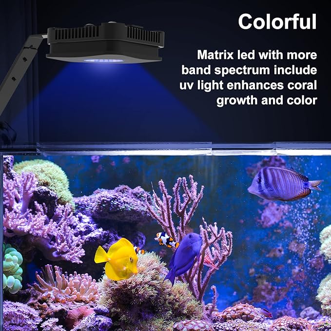 Lominie LED Aquarium Light Saltwater Aquarium Lamp 30W Full Spectrum with Remote Dimmable Nano Coral Reef Light for Fish Tank with Bracket Lominie