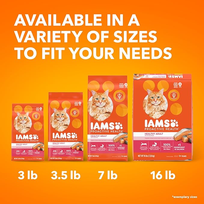 IAMS Proactive Health Adult Healthy Dry Cat Food with Salmon, 3.5 lb. Bag - PAWPICO