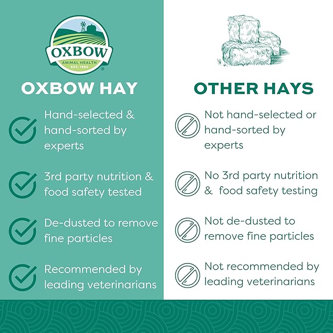 Oxbow Animal Health Orchard Grass Hay - All Natural Grass Hay for Chinchillas, Rabbits, Guinea Pigs, Hamsters & Gerbils - 15 oz. OxbowAnimalHealth