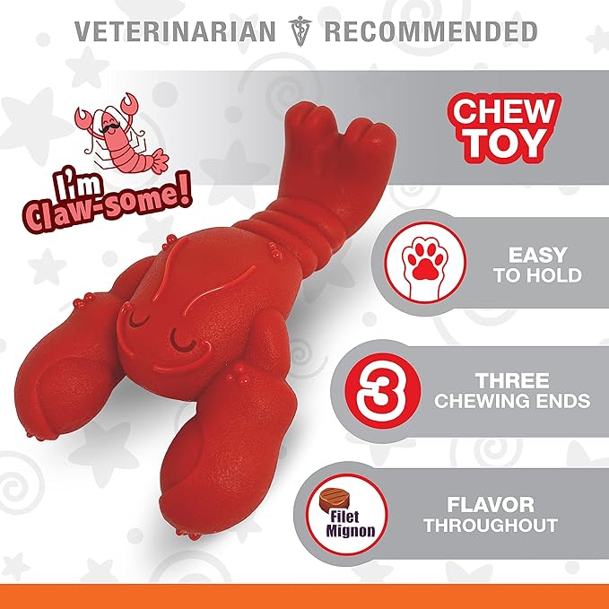Nylabone Power Chew Lobster Dog Chew Toy, Cute Dog Toys for Aggressive Chewers, Filet Mignon Flavor, Small/Regular (1 Count) - PAWPICO