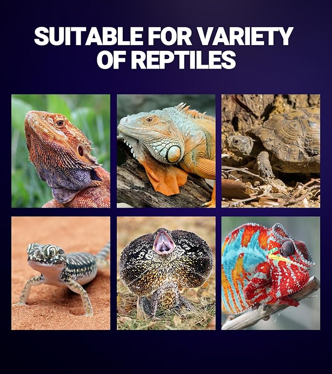 REPTI ZOO 2Pack Reptile Heat Lamp 100W Reptile Night Heat Bulb Night Heat Lamp Without UVA for Turtle Bearded Dragon Gecko Lizard and Snake E26/E27 Purple REPTIZOO