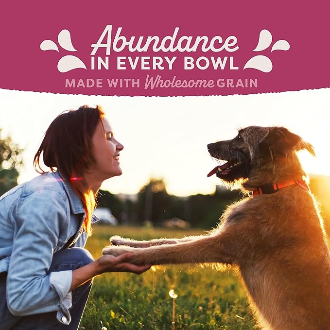 Natural Balance Original Ultra Fat Dogs Chicken Meal, Salmon Meal & Barley Recipe Adult Dry Dog Food, 4 lbs. - PAWPICO
