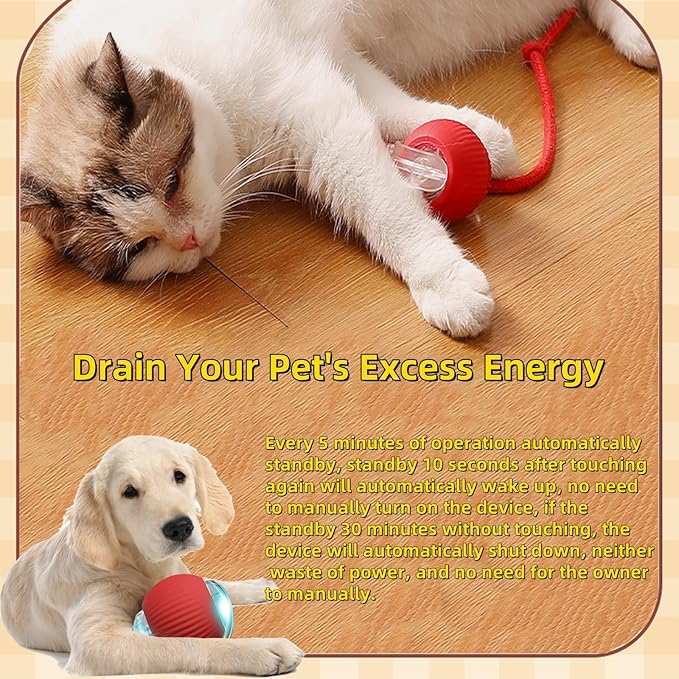 Interactive Dog Cat Toys Ball, Electric Rolling Ball Dog Toy, Automatic Moving Bouncing Toy Ball with Lights, Dog Toys to Keep Them Busy, Peppy Pet Ball for Bored Indoor Cats & Dogs (Grey) - PAWPICO