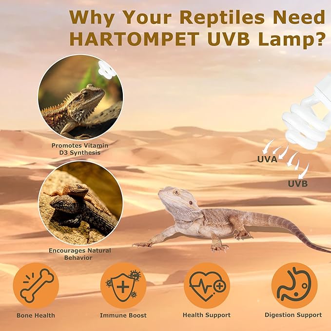 10.0 UVB Reptile Light 26W, Compact Fluorescent Desert Terrarium Lamp, Powerful Coil UVB Bulbs for Reptile Tanks and Terrariums, Ideal for Tortoises, Iguanas and Other Sun-Loving Species HARTOMPET