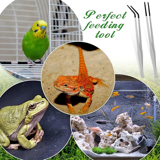 Lasnten 2 Pcs Extra Long Stainless Steel Reptile Feeding Tongs with Rubber Tip Bearded Dragon Aquarium Straight and Curved Long Tweezer Terrarium Feeder Tool for Tank(Silver, 15 Inch) Lasnten