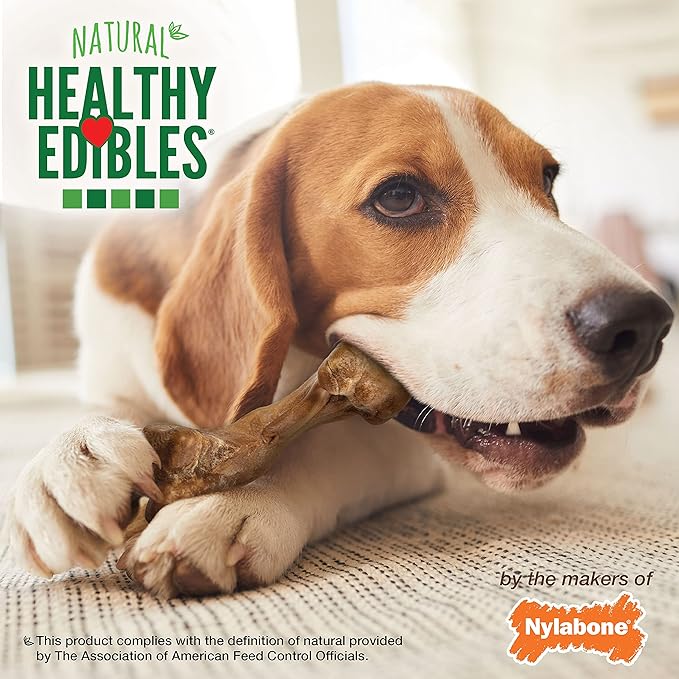 Nylabone Healthy Edibles WILD Natural Long-Lasting Bison Flavor Bone Chew Treats for Dogs, Medium (2 Count) - PAWPICO