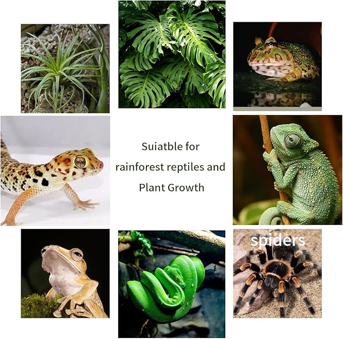 LED Compact Bulb 22W 6500K,Full Spectrum LED Light for Reptiles,Amphibian and Plant Growth,10000H Long Lifespan and Rotate 90°(1.4 * 1.4 * 10in) bestchoiceforyourreptiles