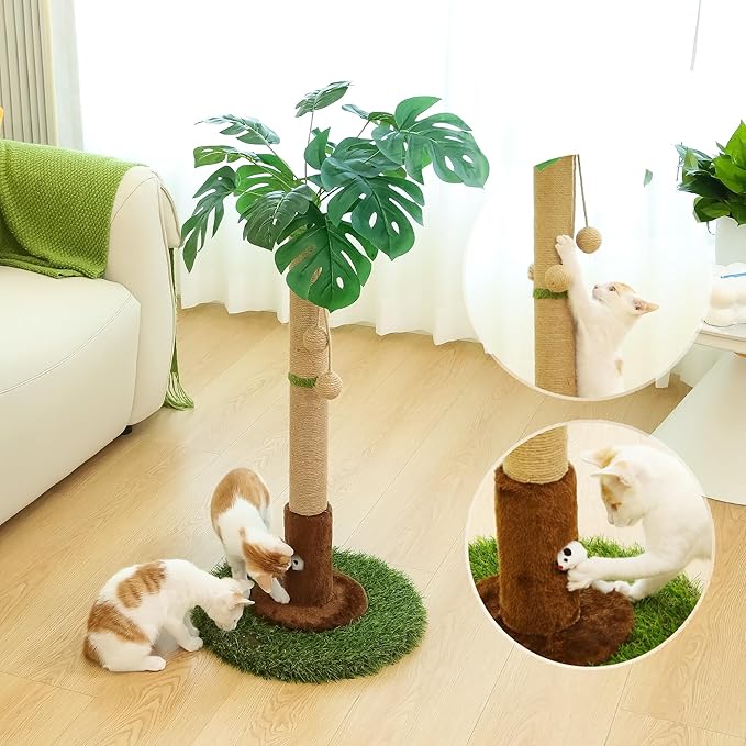 Cat Scratching Post for Indoor Cats and Kitten - 35.43" Tall Cat Scratching Post with Sisal Rope,Palm Tree Cat Scratch Post with Hanging Ball - PAWPICO