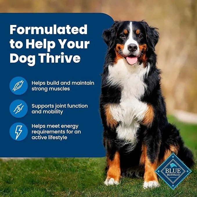 Blue Buffalo Life Protection Formula Adult Dry Dog Food, Helps Build and Maintain Strong Muscles, Made with Natural Ingredients, Chicken & Brown Rice Recipe, 5-lb. Bag - PAWPICO