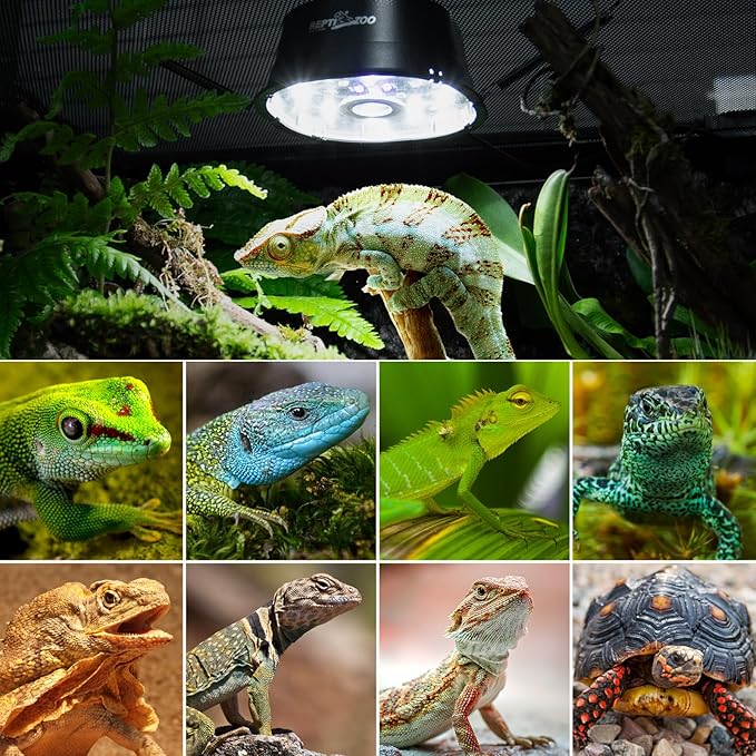 REPTI ZOO UVB Reptile Light with Dimming, LED UVB Light Bulb Fixture for Bearded Dragon Gecko Lizard Turtle Snake, Adjustable Brightness UVA UVB Lamp for Tropical & Desert Reptile REPTIZOO
